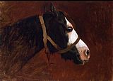 Profile of a Horse by Jean-Leon Gerome